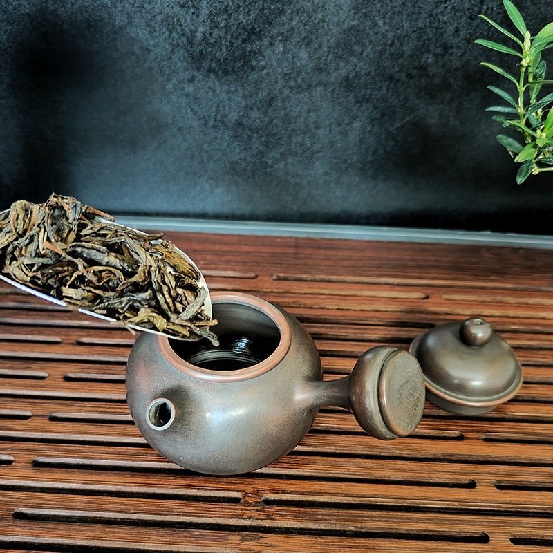 Hand-carved Nixing clay teapot, Side-Handle style - product detail view 2