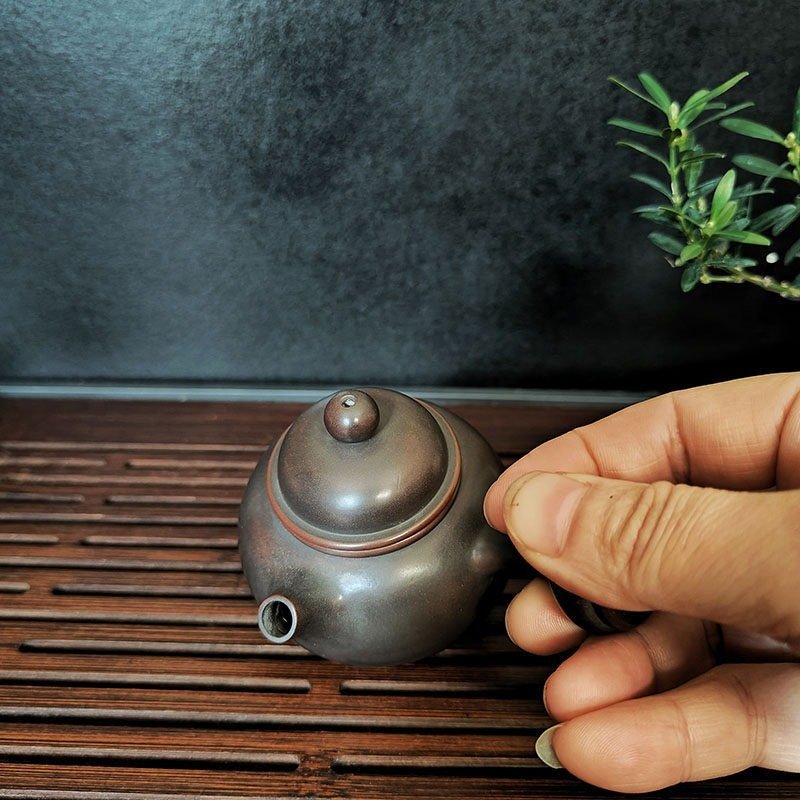Hand-carved Nixing clay teapot, Side-Handle style - product detail view 3