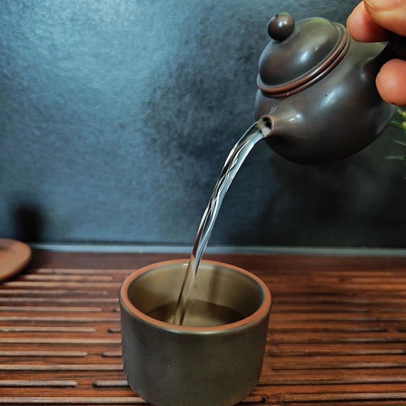 Hand-carved Nixing clay teapot, Side-Handle style - product detail view 4